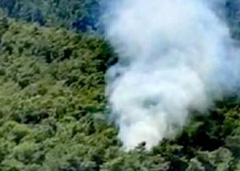 Köyceğiz’de orman yangını