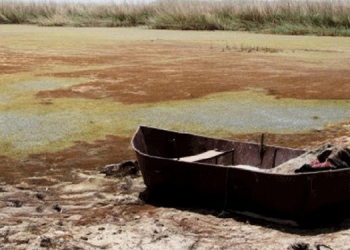 BM: 1 milyondan fazla insan sel ve kuraklıktan öldü