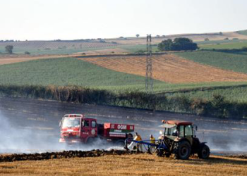 Malkara’da tarla yangını