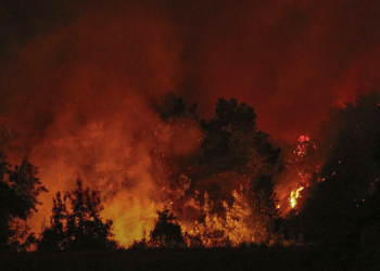 63 yangından 43’ü kontrol altına alındı