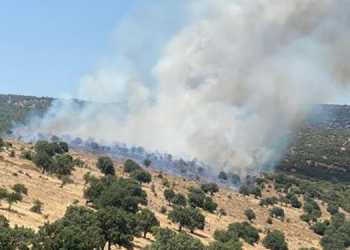 Manisa’da makilik yangını