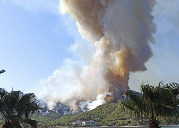 Kitap yakarken ormanı yakmışlar