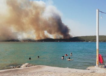Ege Bölgesi’nde orman yangınları