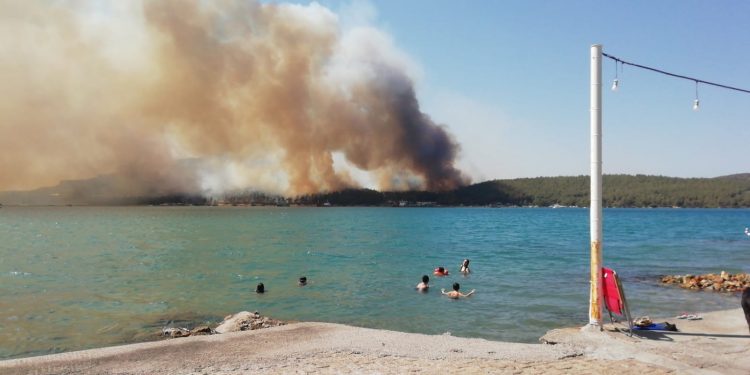 Ege Bölgesi’nde orman yangınları Ege Bölgesi’nde orman yangınları