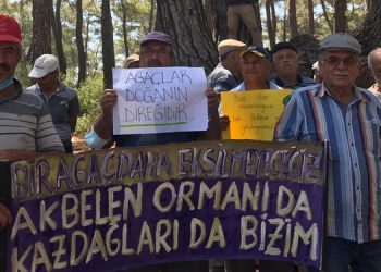 Milas’ta ağaç kesimine karşı eylem
