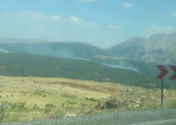 Şenyayla’daki ormanlık alan günlerdir yanıyor