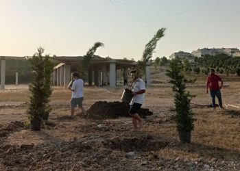 SGDF üyelerinden ‘Düş Yolcuları Ormanı’