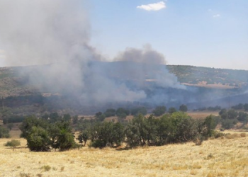 Silvan‘da orman yangını