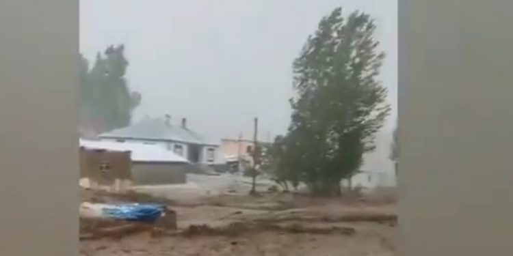 Van’da sel: 2 çoban kayıp Van’da sel: 2 çoban kayıp