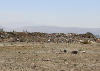 Van Gölü için çağrı