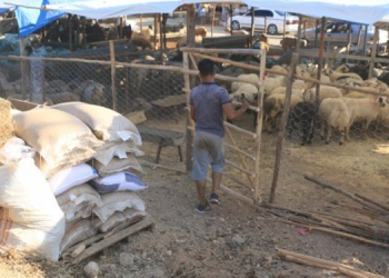 ‘Ekonomi çökmüş, halk perişan’