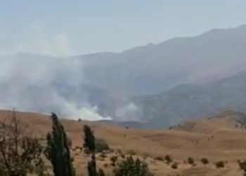 Besta’daki yangın 2 gündür söndürülmüyor