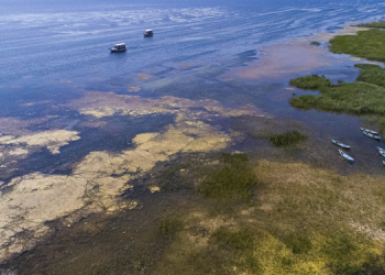 Beyşehir Gölü’nün suyu, 150 metre çekildi