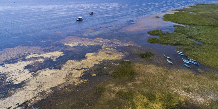 Beyşehir Gölü’nün suyu, 150 metre çekildi Beyşehir Gölü’nün suyu, 150 metre çekildi
