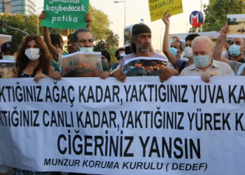 Dersim Dernekleri Federasyonu: Yangınların yayılmasında iktidarın payı büyük