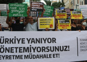 Ekolojistlerden iktidara: Türkiye yanıyor, yönetemiyorsunuz