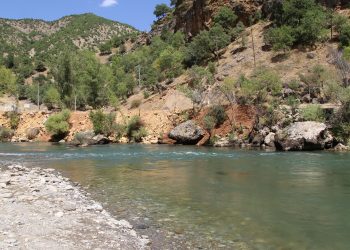 Yangınları söndürmeyen valilik ormanları yasakladı