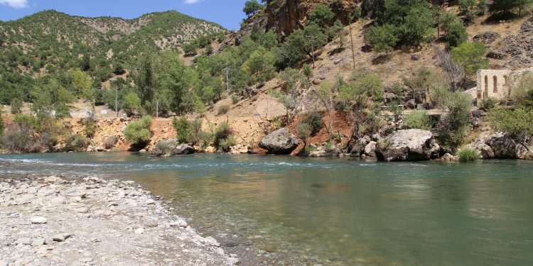 Yangınları söndürmeyen valilik ormanları yasakladı