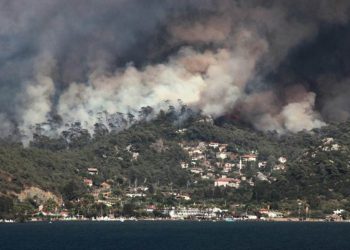 Orman yangınlarında son durum