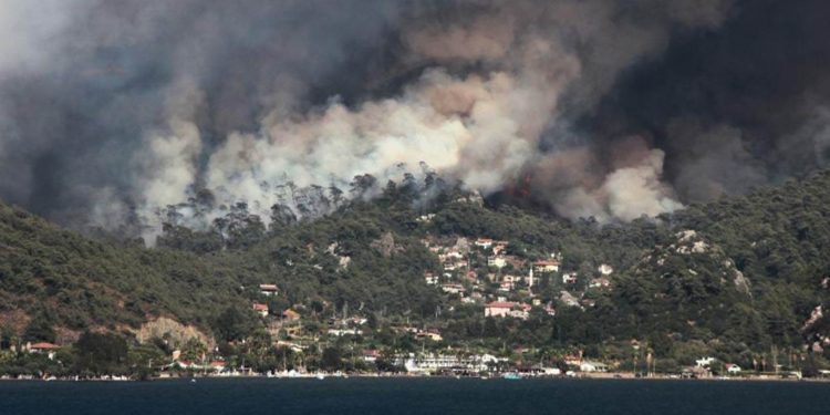 Orman yangınlarında son durum