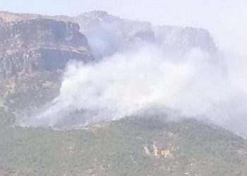 Siirt’in 2 ilçesinde orman yangını