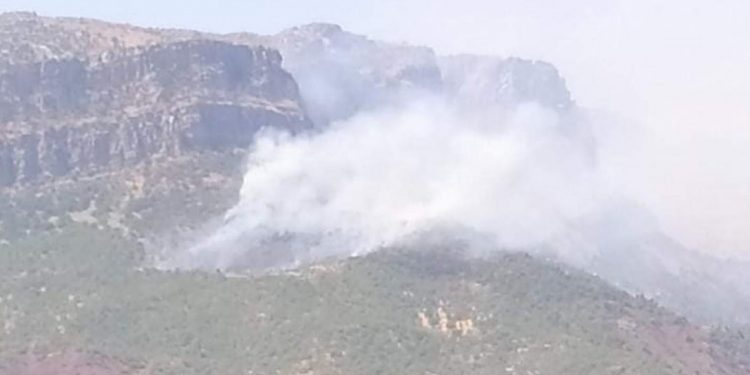 Siirt’in 2 ilçesinde orman yangını