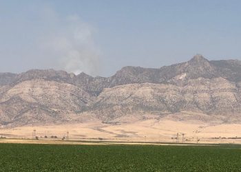 Cudi Dağı’nda yangın