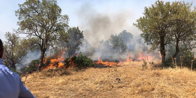 HDP, Şemdinli’deki yangın bölgesinde incelemelerde bulundu