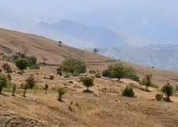 Besta’daki orman yangınına müdahaleye izin verilmiyor