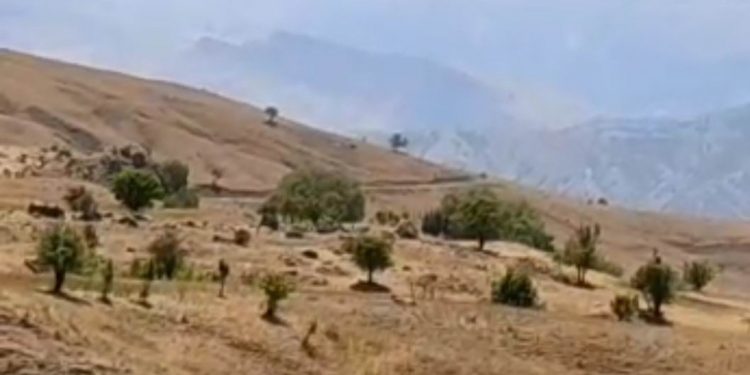 Besta’daki orman yangınına müdahaleye izin verilmiyor Besta’daki orman yangınına müdahaleye izin verilmiyor