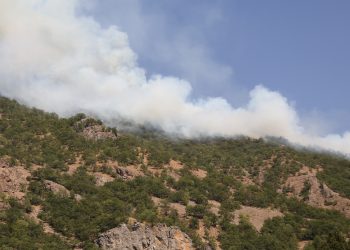 Dersim’de yeni orman yangını