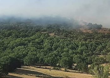 Dersim’de birçok noktada orman yangını devam ediyor