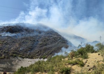 Bitlis ve Besta’da yangınlar devam ediyor