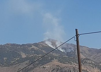 4 kentteki ormanlar alevler içinde