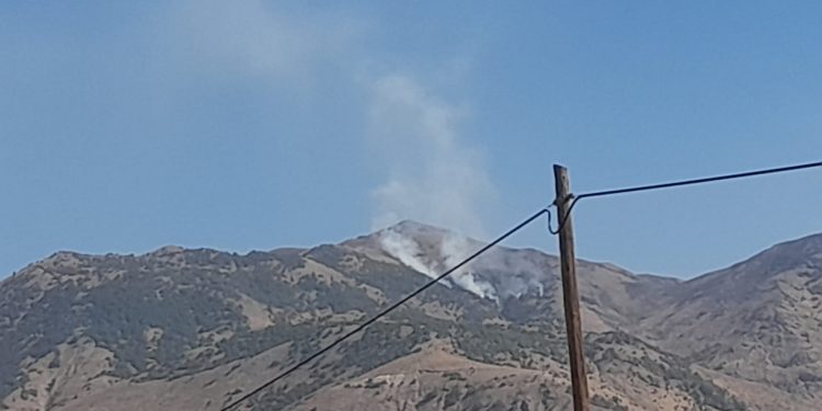 4 kentteki ormanlar alevler içinde 4 kentteki ormanlar alevler içinde