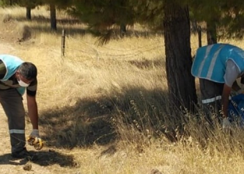 Kayyım 150 kişinin işini 23 işçiye yaptırıyor