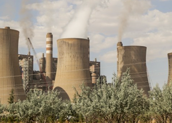 Maraş’ı ‘insansızlaştırma’ doğa katliamıyla sürüyor