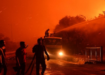 Milas’ta yangın sürüyor: Yeniköy Termik Santrali tehdit altında