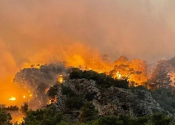 Milas’ta yangın termik santralin içine girdi