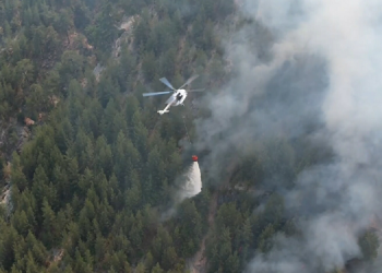 Muğla’da 5 yangına müdahale devam ediyor