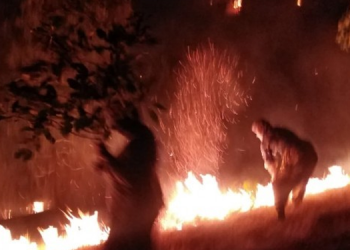 Şırnak’ta 4 ayda 21 orman yangını