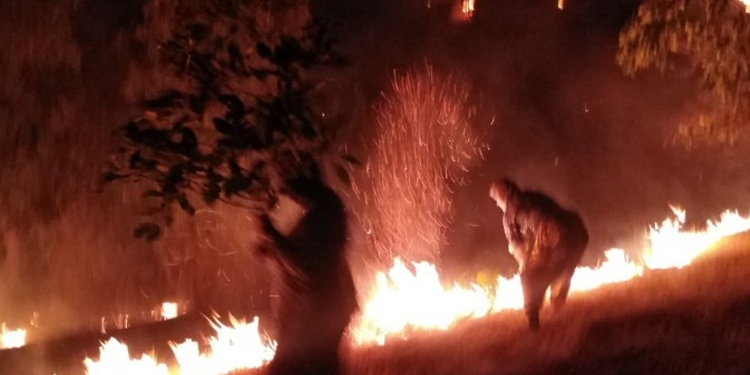 Şırnak’ta 4 ayda 21 orman yangını Şırnak’ta 4 ayda 21 orman yangını