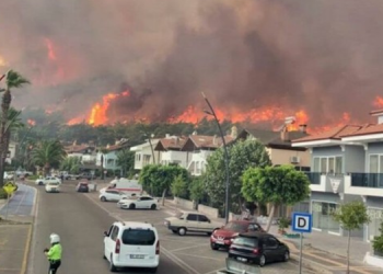 TTB’den Muğla raporu