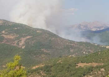 Dersim Barosu Hozat yangınına ilişkin suç duyurusunda bulunacak