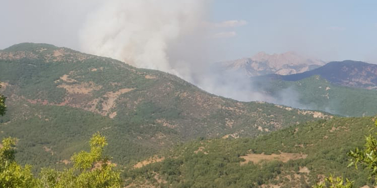 Dersim Barosu Hozat yangınına ilişkin suç duyurusunda bulunacak Dersim Barosu Hozat yangınına ilişkin suç duyurusunda bulunacak