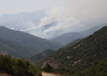 Dersim’de 11 gündür süren yangın söndürülmüyor