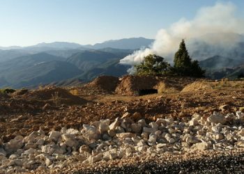 Dersim’de orman yangını 9 gündür devam ediyor