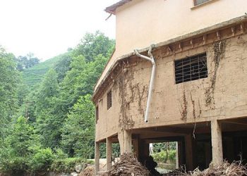 Doğu Karadeniz’de şiddetli yağış sel ve heyelana yol açtı