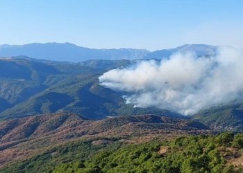 72 barodan çağrı: Dersim’deki yangına müdahale edin