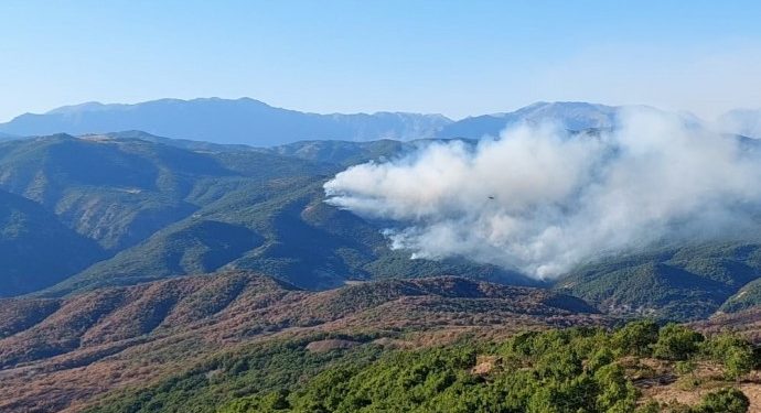 72 barodan çağrı: Dersim’deki yangına müdahale edin 72 barodan çağrı: Dersim’deki yangına müdahale edin